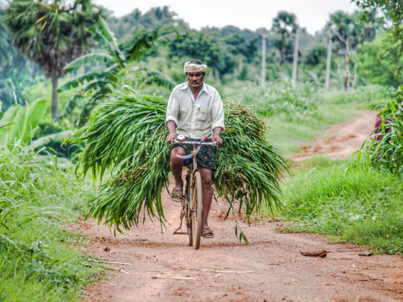 How Farmer Producer Companies (FPCs) Are Transforming Indian Agriculture