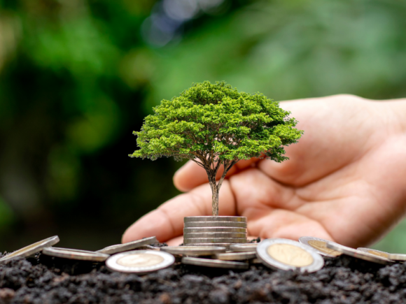 💰 How Farmers Can Get Easy Agricultural Loans Without Stress