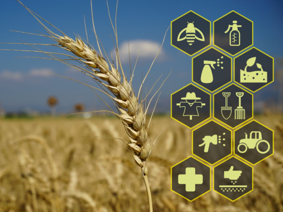 Smart Farming Techniques to Increase Profits in 2026